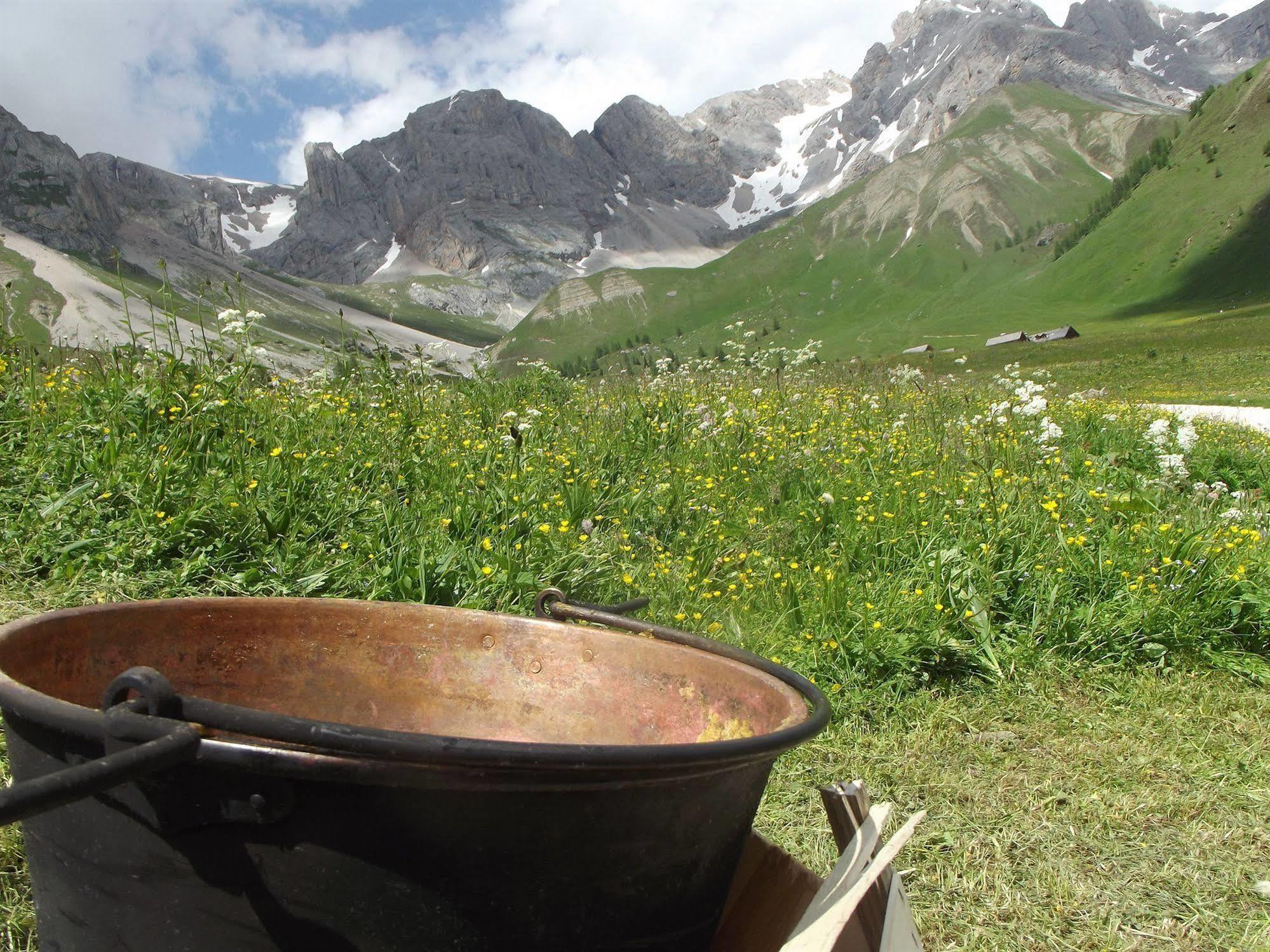 Wellness Hotel Dolomia Soraga Buitenkant foto